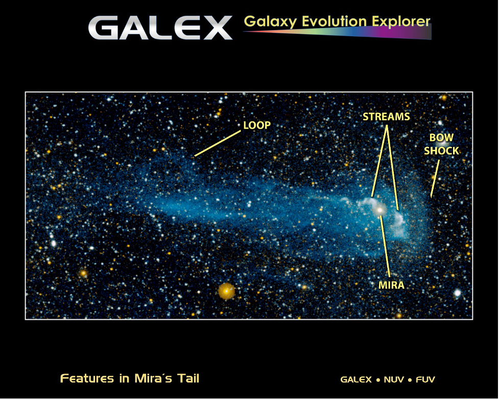 GALEX UV image of Mira’s “tail.” 